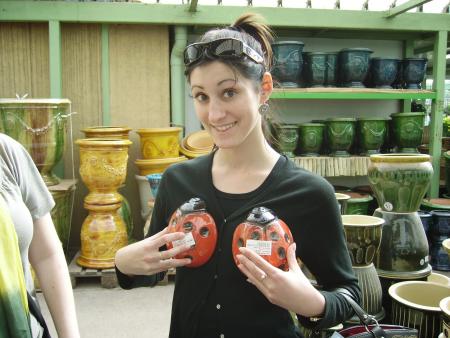 malo l'amie des coccinelles !